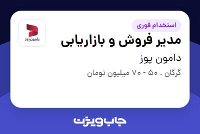  استخدام مدیر فروش و بازاریابی در دامون پوز