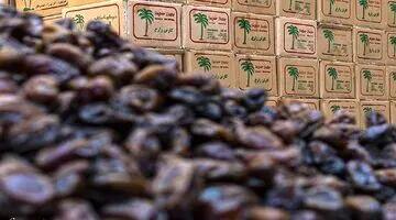  قیمت نجومی خرما در ماه رمضان؛ هر کیلو خرما چند؟