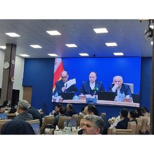  استان‌های شمالی ۴۰ درصد تولید مرغ کشور را بر عهده دارند