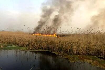  هشدار تکرار آتش‌سوزی‌های یک تالاب در تابستان پیش رو