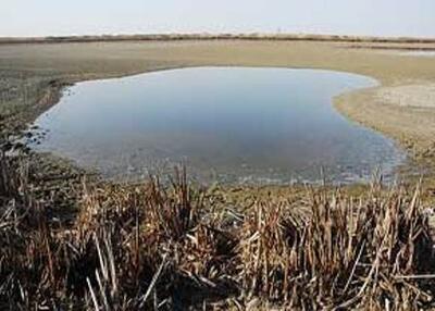  انتقال آب به تالاب هشیلان / انسداد بیش از ۱۰۰ حلقه چاه غیرمجاز در استان