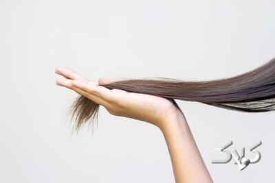  اگر با موی خیس بخوابیم چه اتفاقی برایمان می‌افتد؟ - مجله اینترنتی کولاک