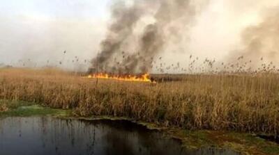  هشدار تکرار آتش‌سوزی‌های یک تالاب در تابستان پیش رو - مردم سالاری آنلاین
