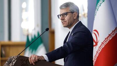  بقائی: با تیم کامل در ژنو حضور داریم