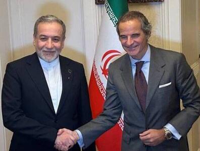  فیلم/ دیدار وزیر امور خارجه با گروسی در ژنو