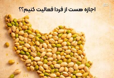  ما عید نداریم ولی برای  بوتاکس  وقت هست!/ اینستاگرام؛ صحنه خشم یا پناهگاه معیشت؟