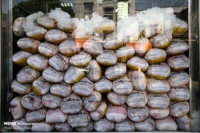  ذخیره‌سازی ۲۳۱ تن مرغ منجمد در استان ایلام 