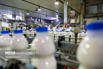  ضرورت ایجاد شبکه یکپارچه حلال در کشور