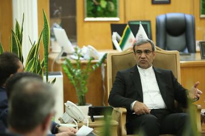  سازمان همیاری باید بازوی قدرتمند اجرایی در پروژه‌های کلان باشد
