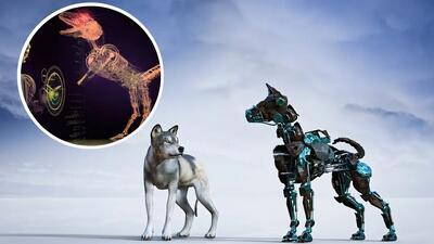  هوش مصنوعی حیواناتی با قابلیت توسعه بینایی می سازد