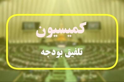  ارجاع بند وام ازدواج و فرزندآوری به کمیسیون تلفیق
