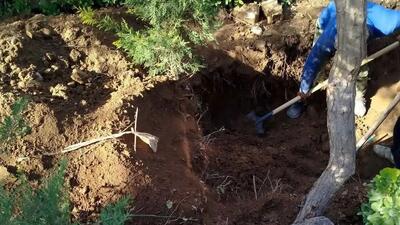  رازگشایی از قتل پنهان بازرگان خارجی در تهران بعد  4 سال / همسرش می دانست کجا دفنش کرده اند