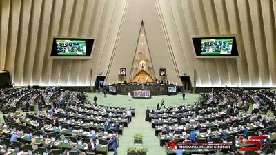  نگرانی مجلس از اجرای طرح صد درصدی کارت سوخت / کشاورزان و پروژه‌ های عمرانی در اولویت