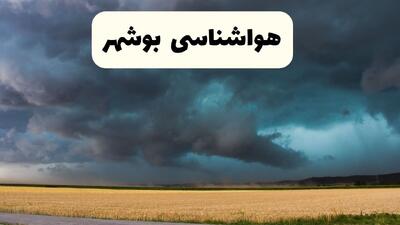  پیش بینی وضعیت آب و هوا بوشهر فردا سه شنبه ۲۸ بهمن ۱۴۰۴ + هواشناسی بوشهر طی ۲۴ ساعت آینده