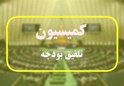  بند مربوط به وام ازدواج و فرزندآوری به کمیسیون تلفیق ارجاع شد