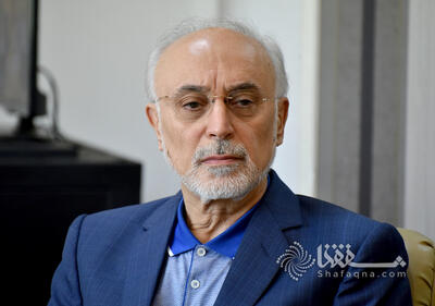  علی‌اکبر صالحی: تنها پاشنه آشیل ظرفیت‌های ایران، روشن شدن تکلیف روابط بین‌المللی است