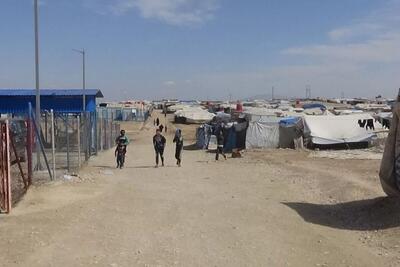  هشدار عراق درباره فرار خانواده‌های داعشی از اردوگاه الهول سوریه | تهدیدی جدی برای امنیت کشور