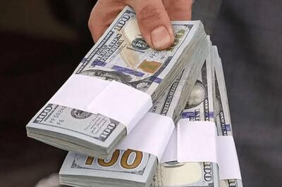  نرخ جدید دلار برای کالا‌های اساسی اعلام شد