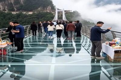  معماری طبیعت؛ بیچاره ها آخرین صحنه ی عمرشون رو دیدن