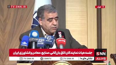  کبریایی‌زاده: دولت بزرگترین بدهکار صنعت دارو است