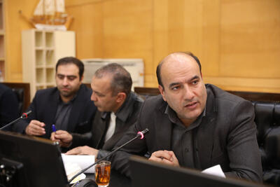  حمایت از تولید خودروی داخلی بدون رضایت مردم معنا ندارد