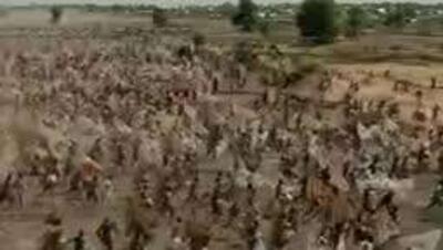  جشنواره ماهیگیری نیجریه به عنوان نمادی از صلح و ثبات ازسر گرفته شد