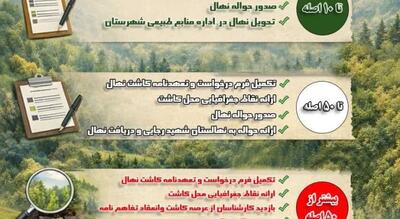  توزیع گسترده نهال جنگلی و فضای سبز در نهالستان شهید رجایی اراک