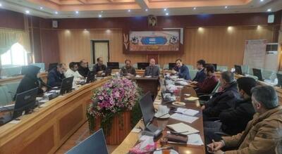  توانمندسازی شرکت‌های بذر استان مرکزی؛ راهکاری برای تحقق امنیت غذایی پایدار