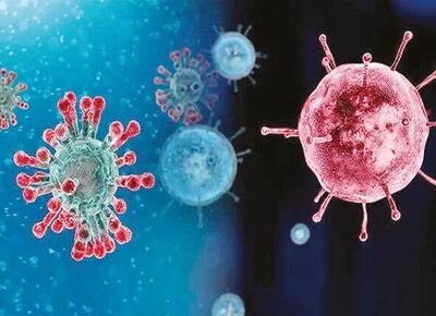  خروج تمام استان‌ها از موج آنفلوآنزا