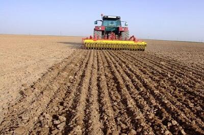  تمام‌ مکانیزه شدن ۶۴ درصد کاشت گندم‌ در یزد| کشت ۳ رقم گندم کم‌آبخواه