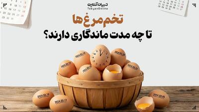  تخم‌مرغ‌ها تا چه مدت ماندگاری دارند؟