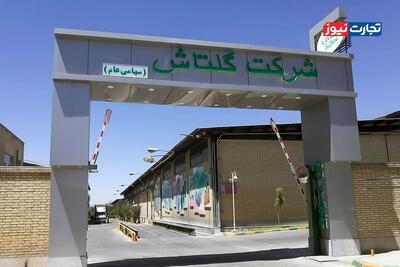  پارادوکس درآمد و تولید در صورت‌های مالی گلتاش / بازی شگل با کارت تورم!