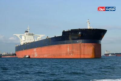  واردکنندگان نهاده‌های دامی تخصص لازم برای ورود به بازار نفت را ندارند