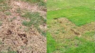  وضعیت فاجعه بار چمن استادیوم تختی!