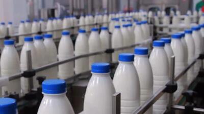  عرضه لبنیات با کالابرگ ۱۰ درصد کمتر از قیمت مصوب