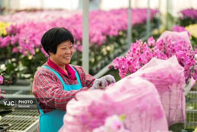  روز‌های منتهی به سال جدید قمری در چین