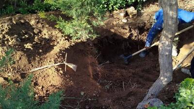  قتل مخفیانه و دفن زیر خاک؛ پایان یک معمای چندساله