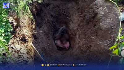  افشای جنایت عاشقانه در تهران/ جسد سوخته پس از 4 سال کشف شد + عکس