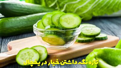  نحوه نگهداری خیار در یخچال + روش تازه نگه داشتن خیار برای مدت طولانی