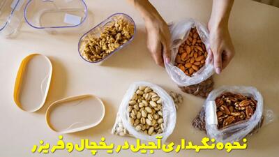  نحوه نگهداری آجیل در یخچال و فریزر برای مدت طولانی + ظرف مناسب نگهداری آجیل