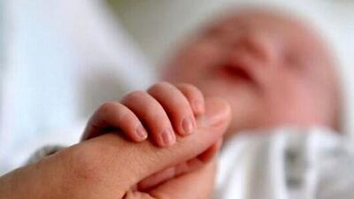  مناطق مرفه تهران، رکورددار کمترین میزان فرزندآوری/ نگاه نسل Z به خوشبختی و فرزندآوری