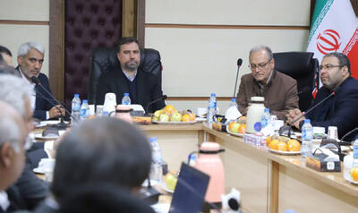  دکتر شیخان : شهرک پردیس جم به شهرک هوشمند کشور تبدیل شود