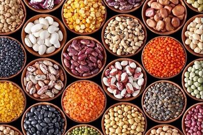  مشکلی برای تامین حبوبات ماه رمضان نداریم /قیمت هرکیلو لوبیا چیتی ۴۵۰ هزار تومان