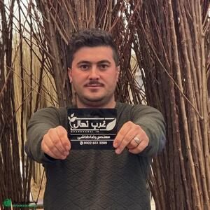  برداشت سود میلیاردی از زمین خشک با نهال دیمی در نهالستان غرب نهال