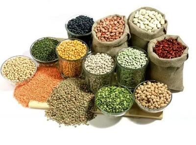  کمبودی در عرضه حبوبات نداریم