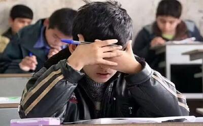  زنجان جزو پنج استان برتر کشور در اجرای برنامه ملی نماد