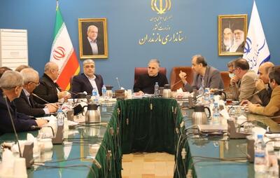  معاون اقتصادی استاندار مازندران : کارخانجات آرد برای واردات گندم اقدام کنند