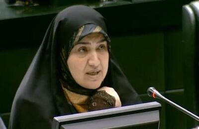  رئیس فراکسیون محیط زیست مجلس: اختصاص ۲۹۸ میلیارد تومان برای اجرای قانون هوای پاک متناسب با ابعاد مسئله نیست