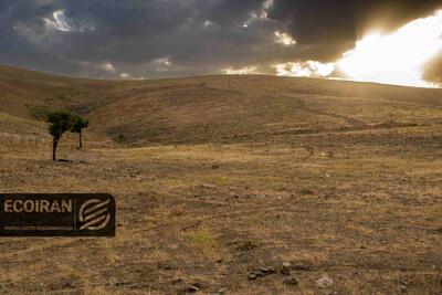  تابستان ترسناک در راه است؟