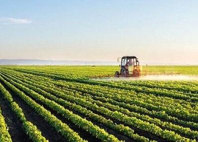  رفع تنگناهای فناورانه برای تأمین امنیت غذایی - اکونیوز